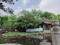 -莲湖公园
