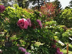 -国家植物园南园