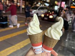 -富豪雪糕车流动点(尖沙咀店)