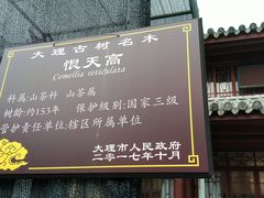 -总统兵马大元帅府