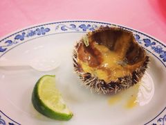 海胆-阿兴生鱼片(大光路店)