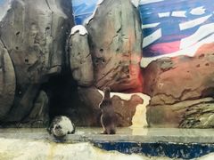 -梦幻海洋王国(吾悦广场张家港店)