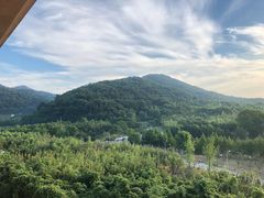 -敬亭山风景名胜区