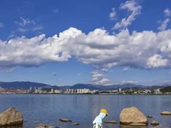 -洱海月湿地公园