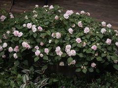 -厦门良筑精品酒店(厦门中山路店)