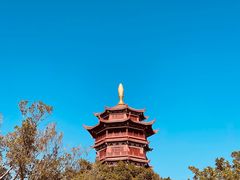 -厦门园林博览苑