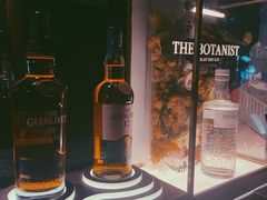-STARRY CAFE & LOUNGE BAR(高新店)