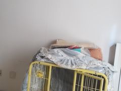 -波姐宠物家庭寄养