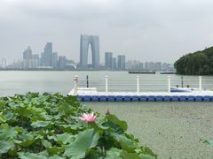 -金鸡湖桃花岛