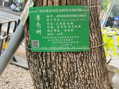 -柳侯公园