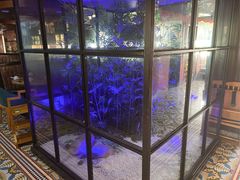 -丽清大别山鹅火锅(潜山路店)