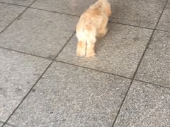 -邓莽子老火锅(鲁祖庙店)