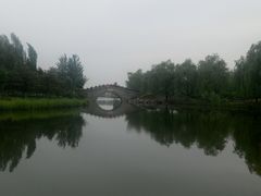 倒影-大兴滨河森林公园