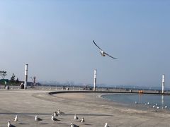 -东港音乐喷泉广场