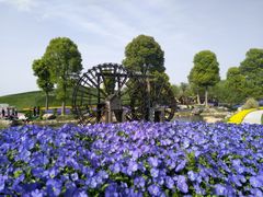 -南通洲际绿博园