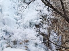 -黑龙潭风景区