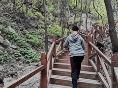 -大岭沟猕猴桃谷风景区