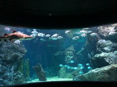 -暹罗海洋世界