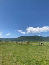 -纳帕海依拉草原