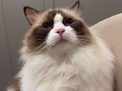 -Oh My Dog宠物沙龙(伊珊娜皮毛护理店)