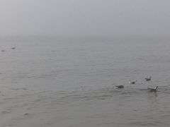 -北戴河东海水浴场