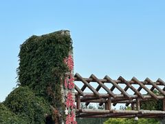 -塘沽森林公园