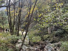 -王顺山国家森林公园