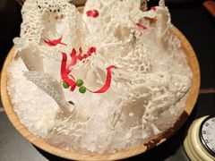 -季季山•云南野生菌火锅(上海首店)
