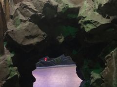 -上海大自然野生昆虫馆(东方明珠·爬宠昆虫探索中心)