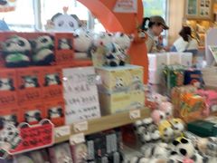 -熊猫邮局(少城店)
