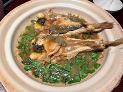 -八分饱·西津会(西津渡店)