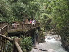 -峨眉山风景名胜区