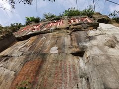 -铁山坪森林公园