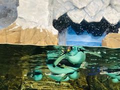 -成都浩海立方海洋公园