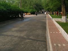 -哈尔滨文化公园