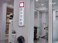 -爱洗澡的猫(望京店)