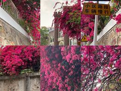 -小南山公园