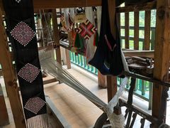 -西双版纳原始森林公园