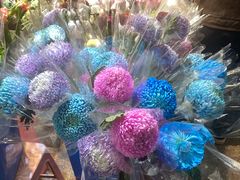 -循礼门鲜花花市(武汉循礼门店)