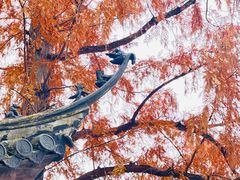 -汇龙潭