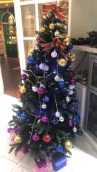 -艺米阳光Hair Salon