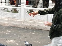 -潭柘寺景区