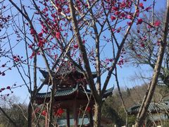 -青龙山公园