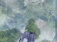 -亚龙湾热带天堂森林公园