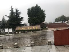 -铁山坪森林公园