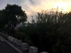 -羊山湖公园