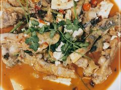 -煲来饱去冷水鱼