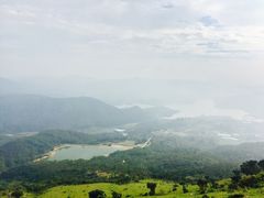 -大姆山草场