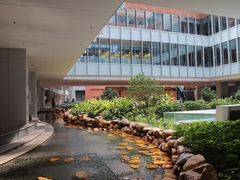 -香港大学