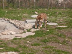 -西安秦岭野生动物园